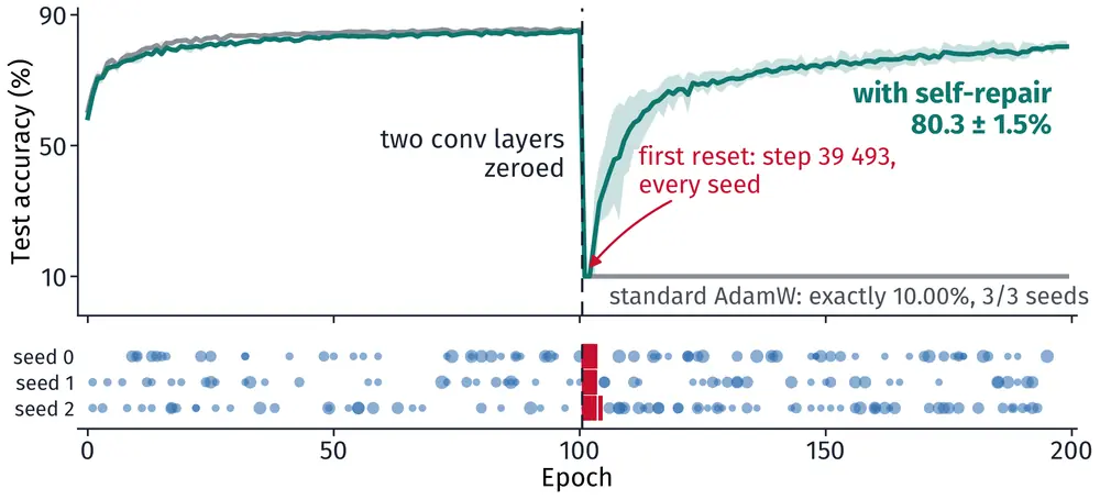 Test accuracy over 200 epochs. Two conv layers are zeroed at epoch 100. Standard AdamW stays at exactly 10.00% in all three seeds; with self-repair, a reset at step 39 493 is followed by recovery to 80.3 ± 1.5%. Below, every repair event per seed.